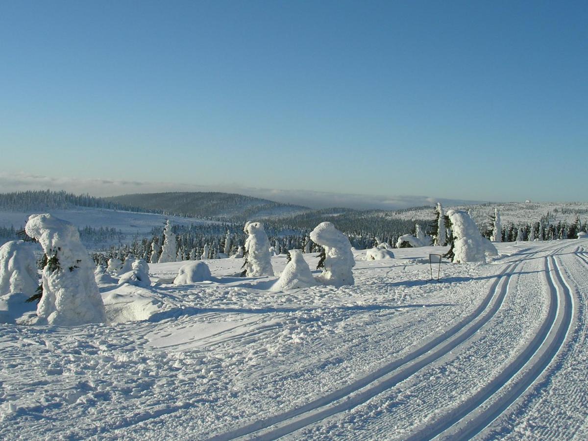 Chata Bajama Bedrichov  Bagian luar foto