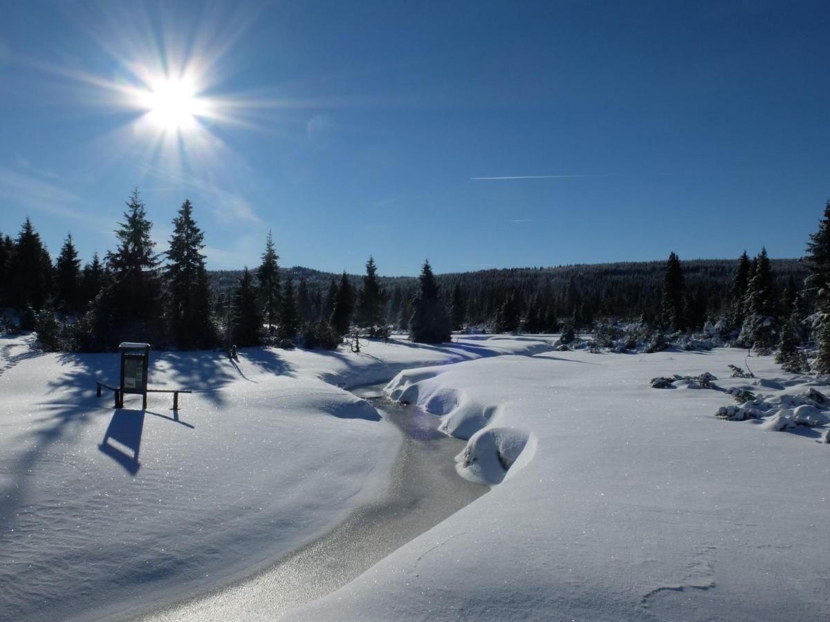Chata Bajama Bedrichov  Bagian luar foto